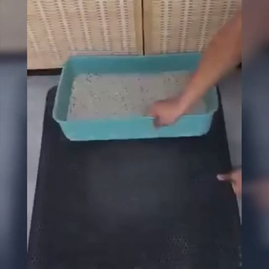 Kattsandmatta EVA Dubbel – Fångar Sand & Skyddar Golvet