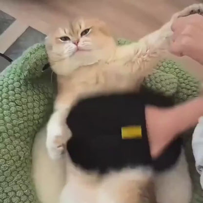 Pälsborttagningshandske för Möbler & Kläder - Tar Bort Husdjurshår